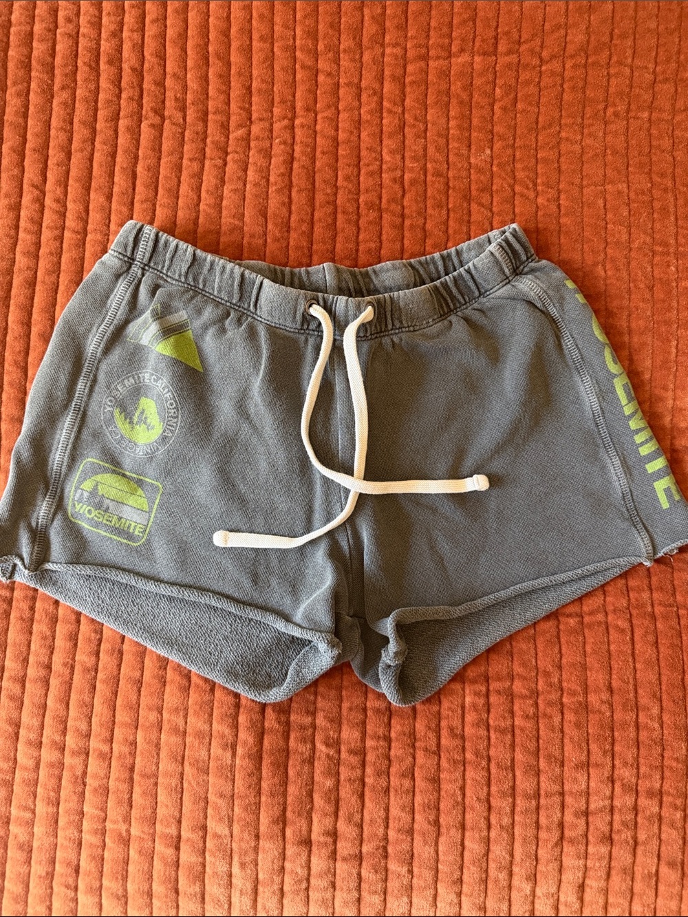 JAMES PERSE Y/OSEMITE French Terry Sweat Short